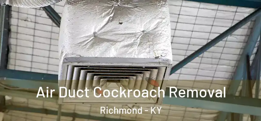  Air Duct Cockroach Removal Richmond - KY