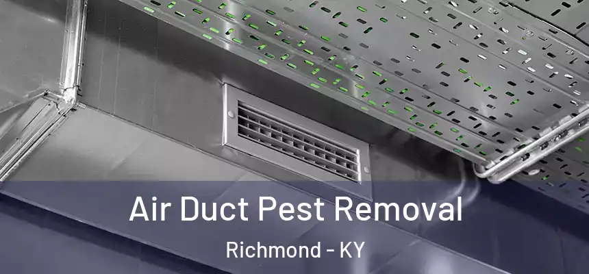 Air Duct Pest Removal Richmond - KY