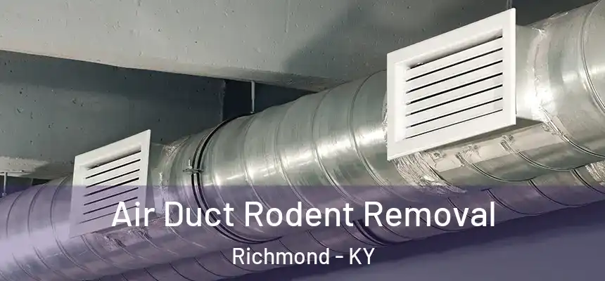 Air Duct Rodent Removal Richmond - KY