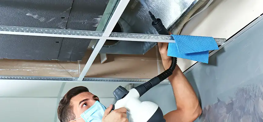 Our Air Duct Rodent Removal Services in Richmond, KY