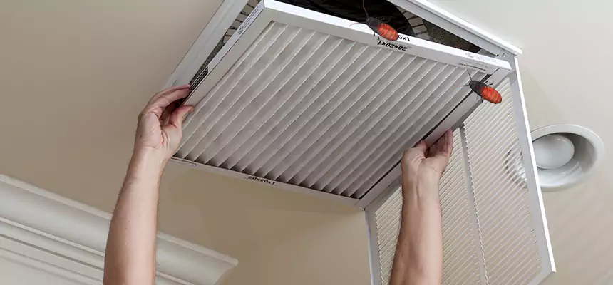 Our Insect Removal from Air Ducts Services in Richmond, KY