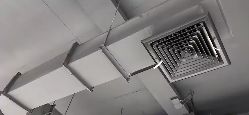 Our Pest Removal From Ducts Services in Richmond, KY