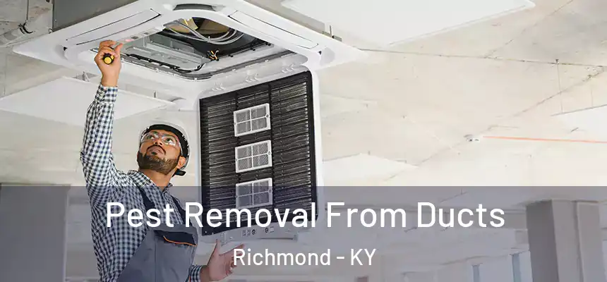  Pest Removal From Ducts Richmond - KY
