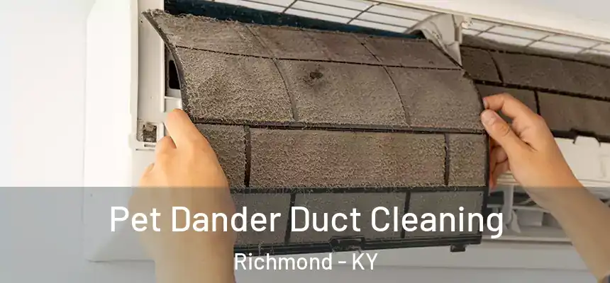 Pet Dander Duct Cleaning Richmond - KY