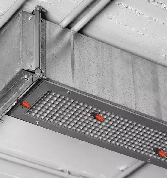 About Air Duct Cockroach Removal in Richmond, KY