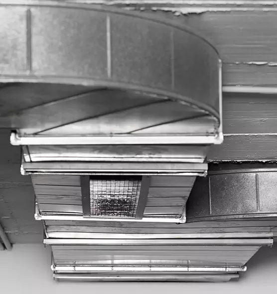 Professional Air Duct Pest Removal in Richmond, KY