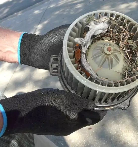 About Air Duct Rat Removal in Richmond, KY