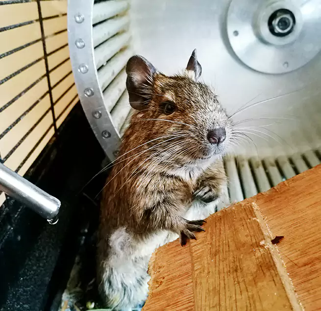 Why Homeowners & Businesses Trust Us Richmond, KY